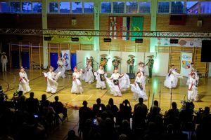 Folklorne skupine iz Maruševca, Poljske i Meksika okupile široku publiku na festivalu COFA