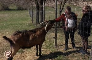 NovaTV snimila prilog za emisiju Provjereno o Utočištu Sunčani bregec u Druškovcu