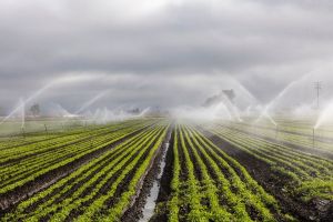 Poziv na iskaz interesa za uvođenje javnih sustava navodnjavanja poljoprivrednih površina na području Varaždinske županije