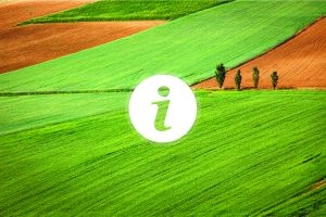 Od danas možete podnijeti jedinstveni zahtjev za izravna plaćanja i IAKS mjere