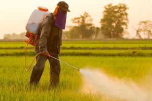Izobrazba o sigurnom rukovanju i primjeni pesticida